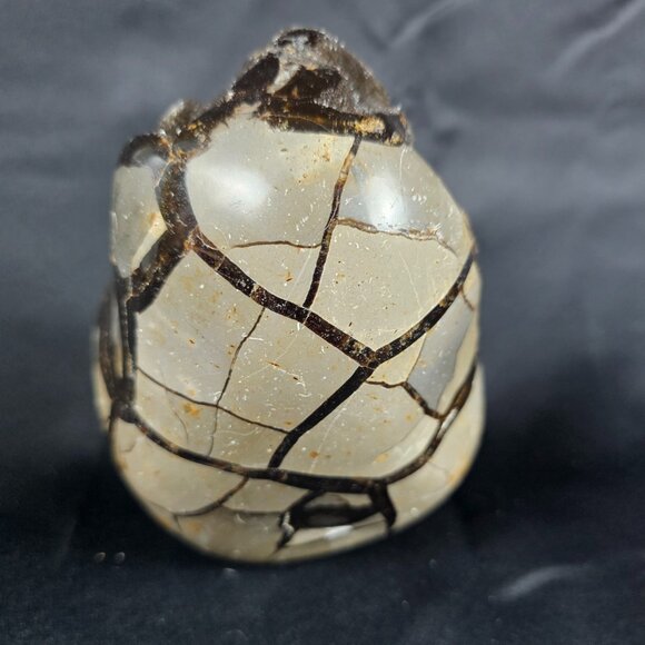 Septarian - Picture 3 of 9